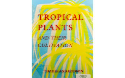 Tropical Plants And Their Cultivation