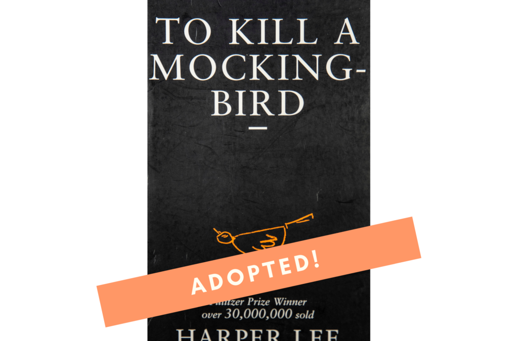 To Kill a Mockingbird BY Harper Lee