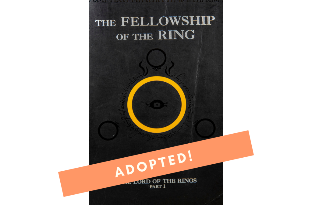 The Fellowship of the Ring BY J. R. R. Tolkien